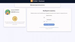 Как оплатить членство и партнерство в кабинете InCruises.