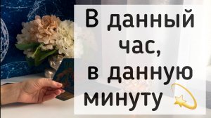 В данный час,  в данную минуту