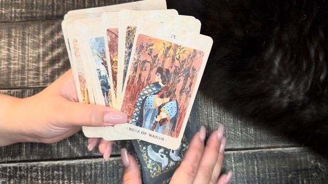 ТАРО КОЛЛЕКЦИЯ | РАСПАКОВКА Tarot Of The Solar Kingdom