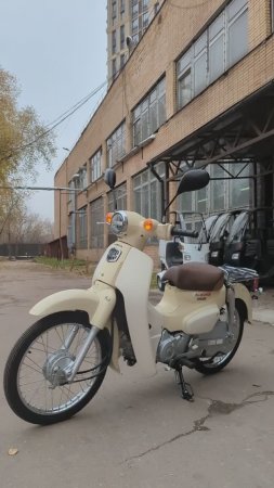 Почему он стоит 280к?...Honda Super Cub 50