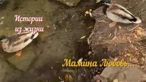 Интересные истории из реальной жизни - Мамина любовь...