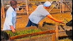 День ветработника Поспелиха 2001г часть 2