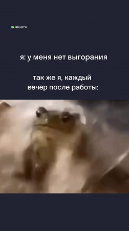 И так каждый день 🐸