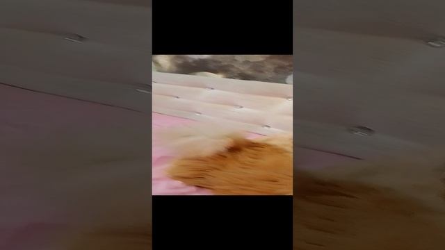 милый персик