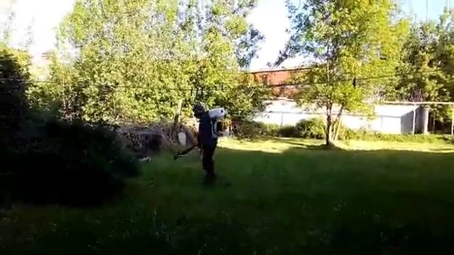 Обработка от клещей. Ярославль. 25 мая 2018 года. смотреть онлайн