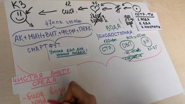 Универсальная пошаговая система здоровья. Концепция здоровья
