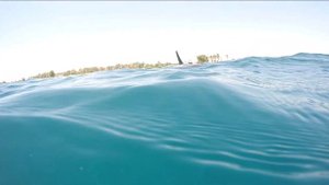 Utopia Beach Club - Marsa Alam - Lipiec 2023