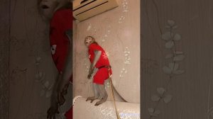 Федя собственной персоной #животные #animals #monkey #обезьяна #babyanimals #pets #zoo #macaque