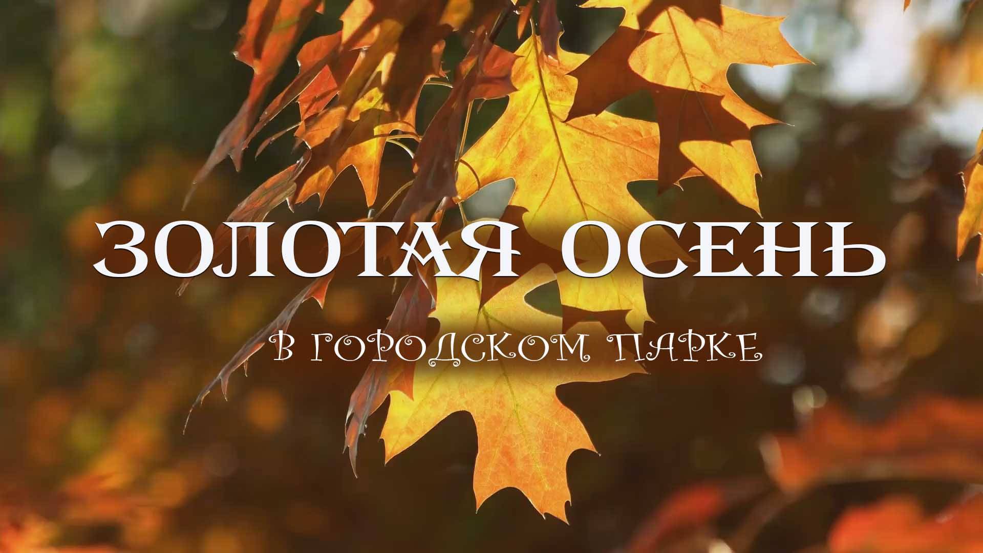 Осенняя музыка на гуслях - погружение в атмосферу золотой осени для хорошего настроения