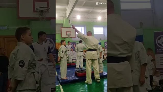 Каратэ