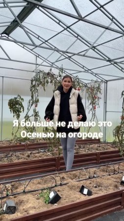 Я больше не делаю это осенью на огороде.