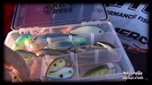 "BASS MAFIA Tackle Box" featuring Sam Lashlee