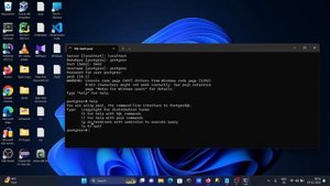 How to start PostgreSQL in cmd | run postgresql from command line
