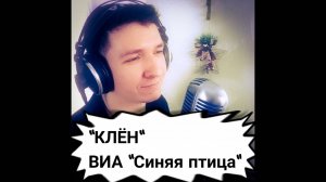 Живой звук! Кавер от КИНАМ. Клён. ВИА Синяя птица.