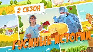 ГУСИНЫЕ ИСТОРИИ \\ Кубанский сыр с голубой плесенью.