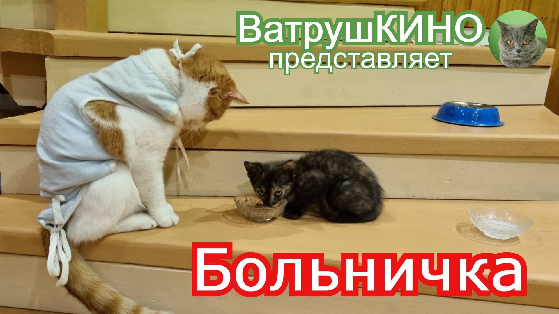Больничка