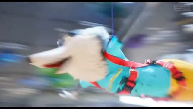 cheer up gift for mac jeffy смотреть онлайн