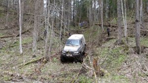 Пятый день. Жарим Грибы УБИЙЦЫ или просто СТРОЧКИ