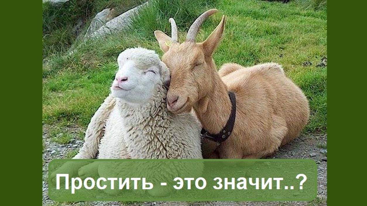 Что нужно сделать, чтобы простить человека? И чего делать совсем не обязательно. Что такое прощение?