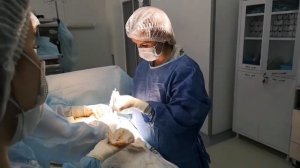 Самая популярная пластическая операция сейчас: подтяжка груди без имплантов