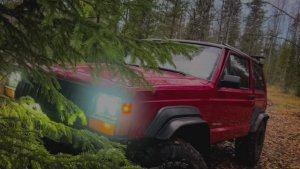 Осенняя вылазка 🍁🍁🍁