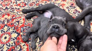 27 октября 2023 г.