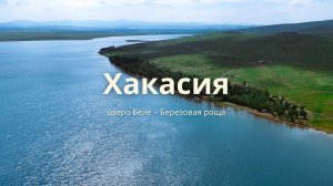 Хакасия 2024. озеро Беле - Березовая роща
