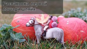 Распаковка первой лошади шляйх