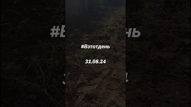 В этот день 31.08.2024 . #вэтотдень #Вэтотдень #310824