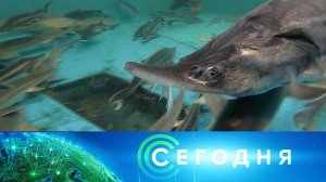 «Сегодня»: 28 октября 2024 года. 10:00 | Выпуск новостей | Новости НТВ