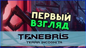 Жуки идут в Tenebris: Terra Incognita - отечественная пошаговая тактическая RPG (первый взгляд)