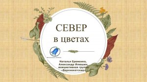 СЕВЕР В ЦВЕТАХ