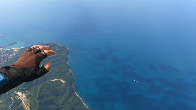Free Fly