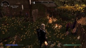 Skyrim Мистический рыцарь новая анимация # 41