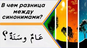 В чем разница между словами (عَامٌ وسَنَةٌ) в значении - год?