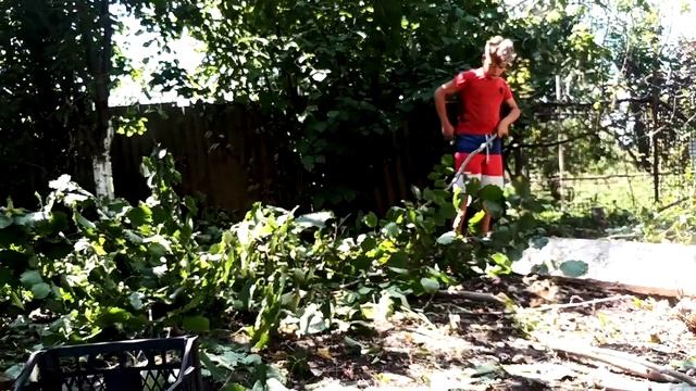 наш #сад #источник #вдохновения и работы... бесконечной #labour #thetwinsboys
