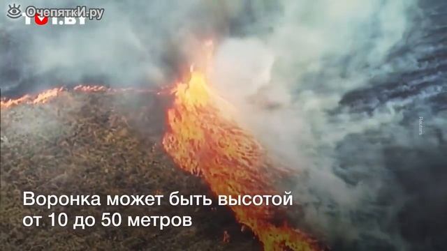 К чему может привести горение травы