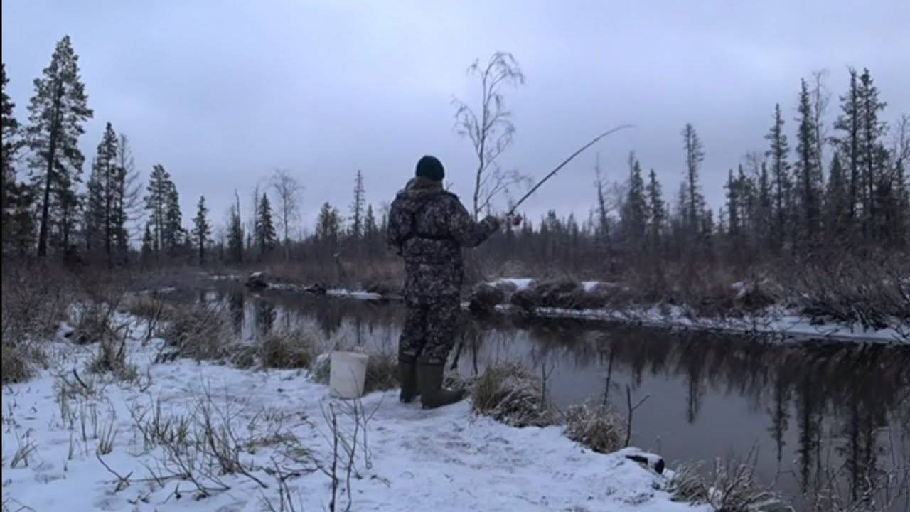 ВЕДРО РЫБЫ ЗА 4 ЧАСА!!! Зимне - летняя рыбалка НА МОХТИКА (ЕЛЕЦ)!!! СИБИРСКАЯ РЫБАЛКА 2024 г