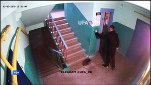 Спасение собаки в Уфе, повисшей на застрявшем в дверях лифта поводке, попало на видео