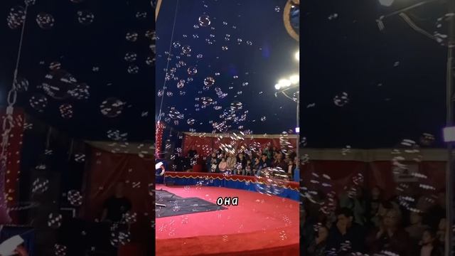 Цирковое шоу | #shorts