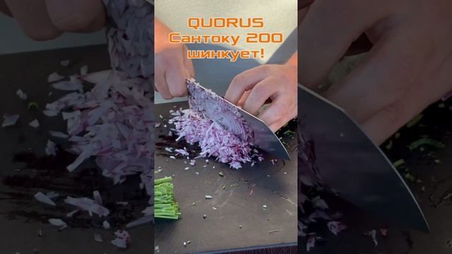 QUORUS Сантоку 200! Заказать: 8-915-815-77-00 #shorts #quorus #elmax #kitchen #кухня #кухонныйнож