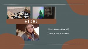 VLOG Поставила ёлку_🎄 Новая посылочка📦 (1)