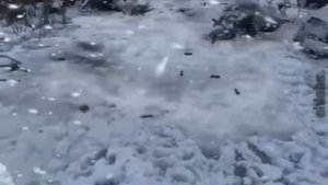 метро эдит | metro edit