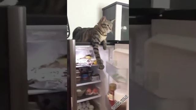 Не даёт похудеть