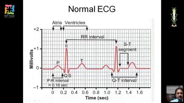 Web Based Lecture Series VI Masterclass with Dr Gaurab Maitra Short Video смотреть онлайн