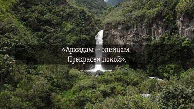 Архидам, Царь Спарты - Изречения
