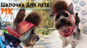 Шапка для собаки спицами 🐶Мастер-класс | Шапочка для йорка и маленьких пород собак