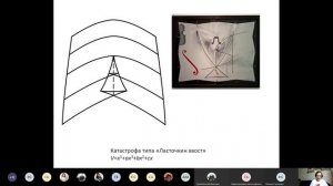 Синергетика. Теория бифуркаций и катастроф 27.05.2020