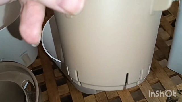 влог о растениях