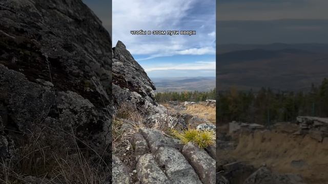 Пульс цен - ваша поддержка на пути к вершинам смотреть онлайн